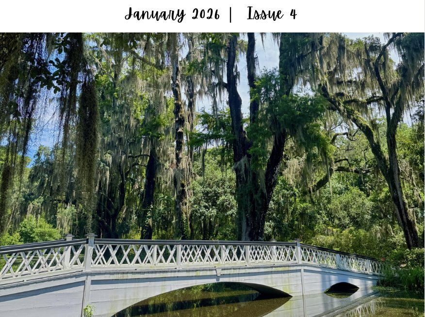 Screenshot 2026-01-12 at 10.09.29 AM